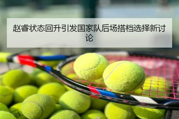 赵睿状态回升引发国家队后场搭档选择新讨论